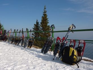 V jižních Čechách se už podruhé setkají mladí handicapovaní sportovci na mezinárodním klání V4 Winter Games Emil Open