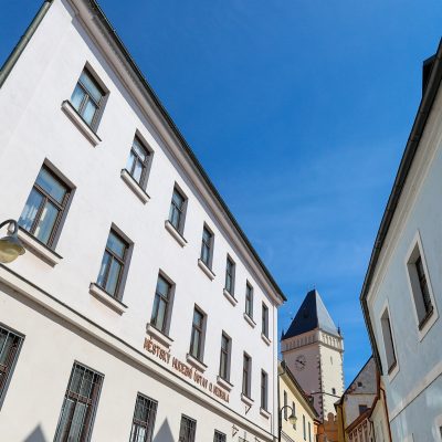 zuš oskara nedbala