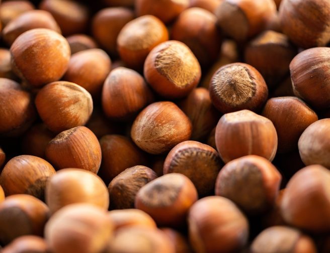 hazelnut-6757523_1280