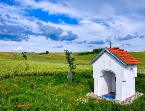 Místo, kde žiji – krajina kolem nás aneb od politiky k datům, od dat ke krajině domova