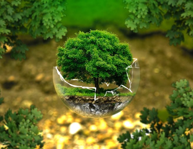 environmental-protection-326923_1280 (2)