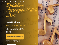 Společný koncert žáků ZUŠ v Nových Hradech