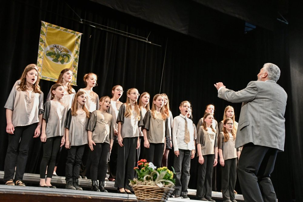 285_r25_Skrivanek_ZS-ZUS_Zliv Skřivánek ze ZUŠ Zliv