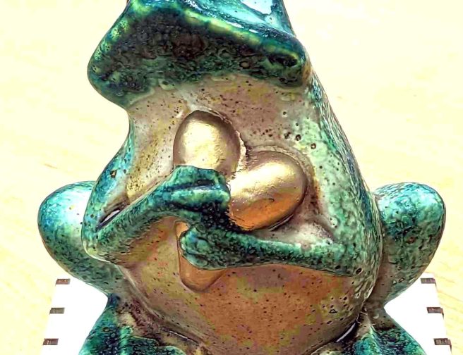 jihoceska_zabka_trofej_upravena