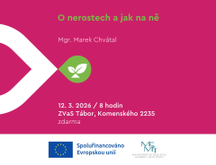 🪨 O nerostech a jak na ně