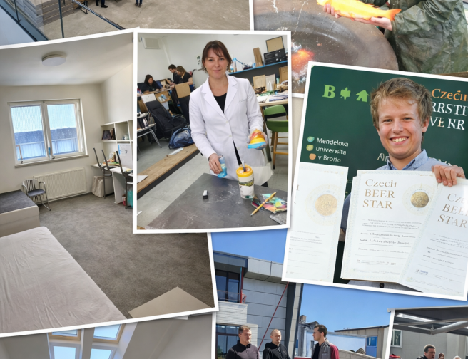 20260314_1210_Image Generation_remix_01kkp0jnwbfgdsy356v188d5ae