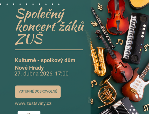 Společný koncert žáků ZUŠ v Nových Hradech