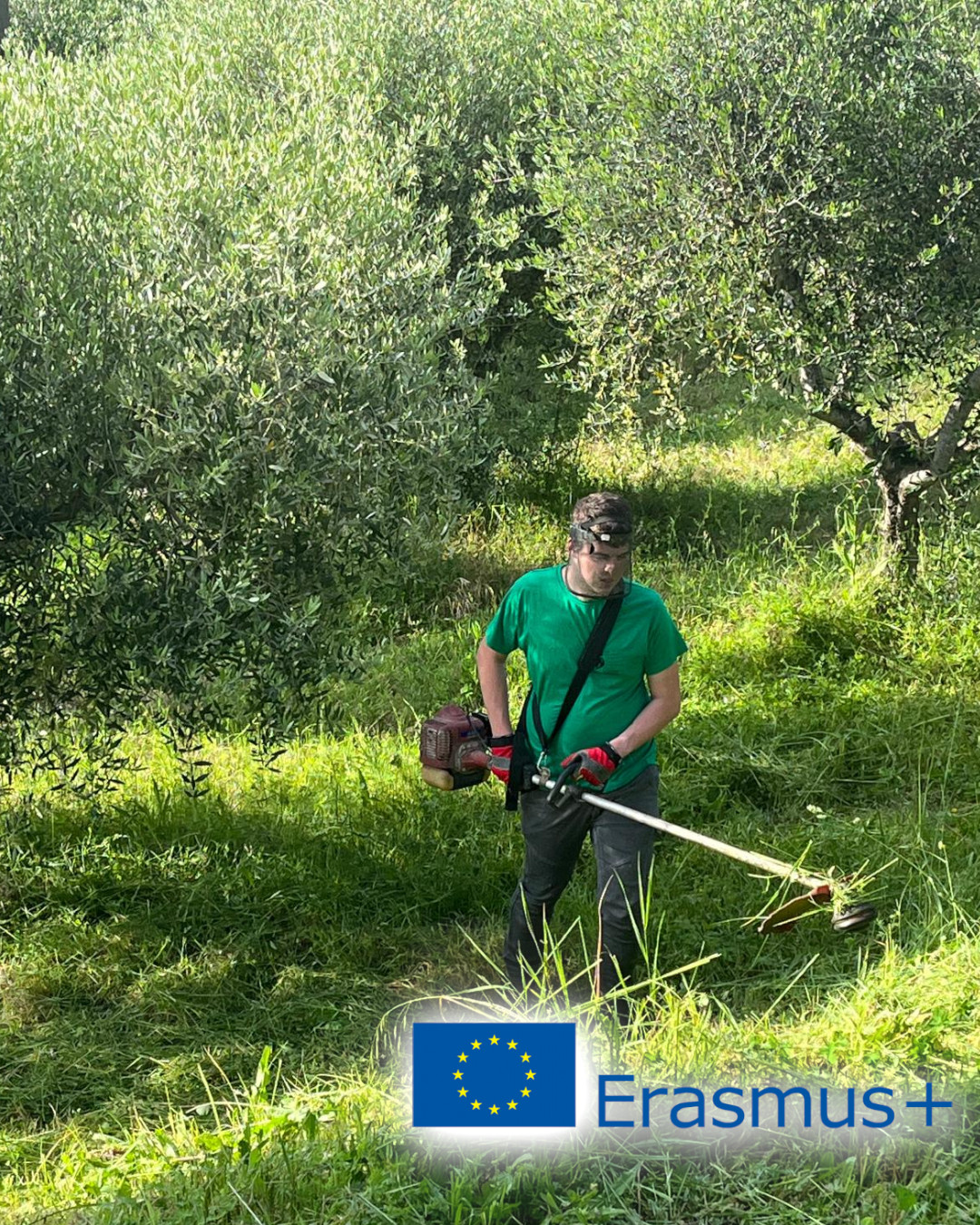 V rámci programu Erasmus+: Tvoříme evropskou krajinu se naši studenti zapojili do celé řady projektů. Mezi nimi například absolvovali i krátkodobou pracovní stáž v Itálii.