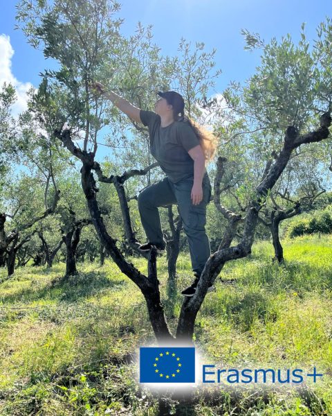 V rámci programu Erasmus+: Tvoříme evropskou krajinu se naši studenti zapojili do celé řady projektů. Mezi nimi například absolvovali i krátkodobou pracovní stáž v Itálii.