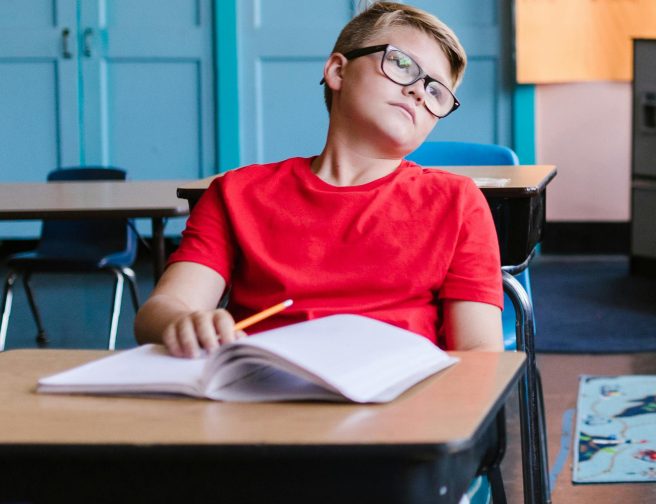 pexels-photo-8500420-8500420