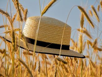 Čtrnáctiletí mohou o prázdninách pracovat. Bez souhlasu rodičů a lékařské prohlídky to nejde
