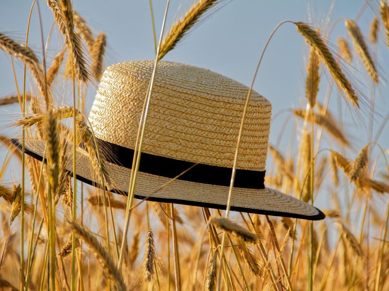 cap, straw hat, summer, grain, spike, summer hat, summer feeling, nature, cap, summer, summer, summer, summer, summer